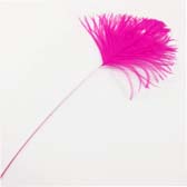Struss toll vég - #58 FUCHSIA